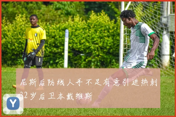 尼斯后防线人手不足有意引进热刺32岁后卫本戴维斯