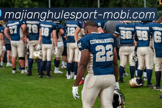 App Interface Preview